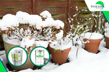 How to Insulate Potted Plants for Winter